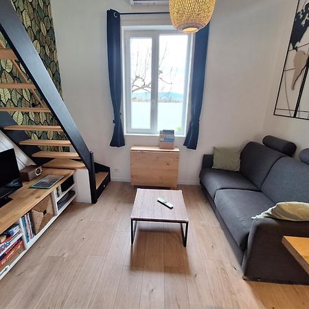Maison "Le Figuier" Trevoux Climatisee 外观 照片