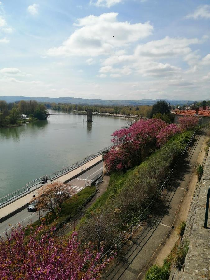 Maison "Le Figuier" Trevoux Climatisee 外观 照片